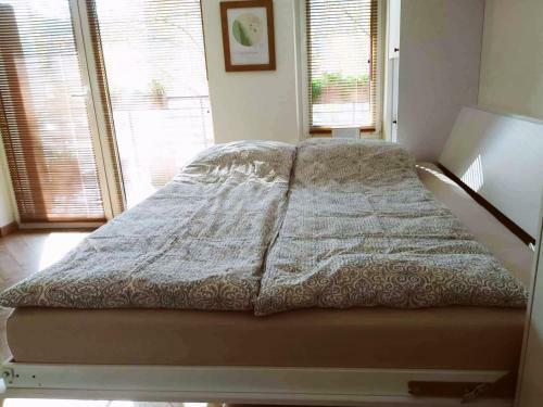 Lovely Oldtown Apartment
