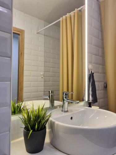 Old Town Vytautas Apartment