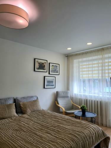 Old Town Vytautas Apartment