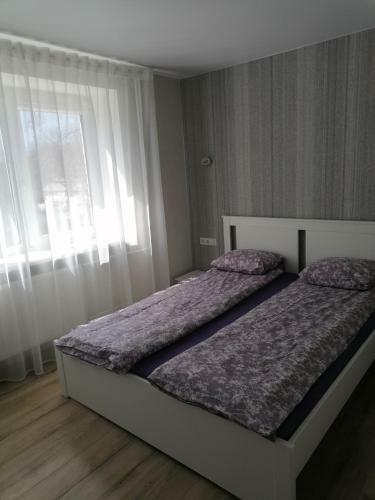 Klaipeda Town Center Apartment