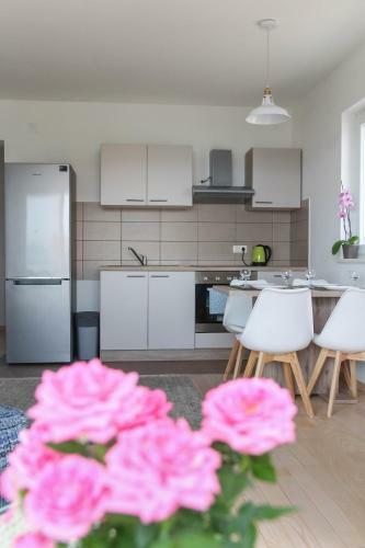 Apartments Insula