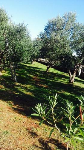 Villa Danny ****