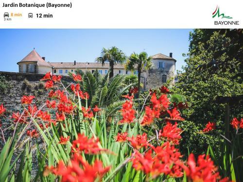 Apartamento South West