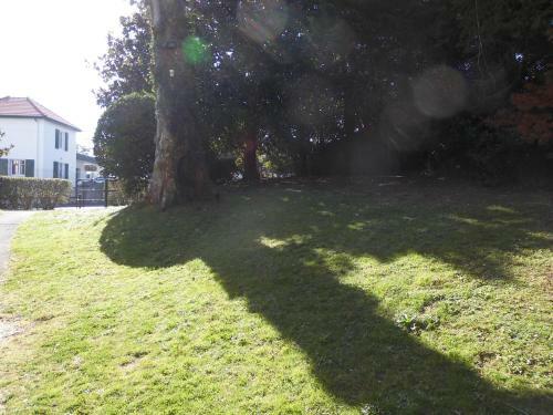 Apartamento Au Balcon Fleuri
