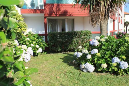 Apartamento Studio � 300 M Anglet Plage Surf