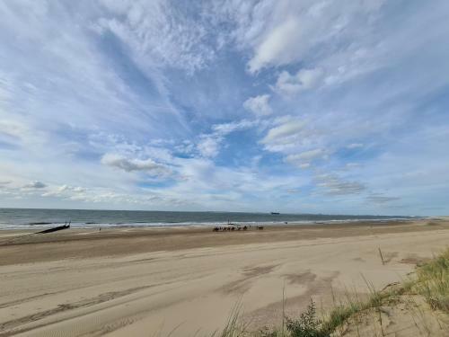 Park Schoneveld, Zeester 64