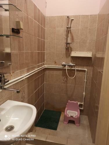 Hostal Micro Maxi House