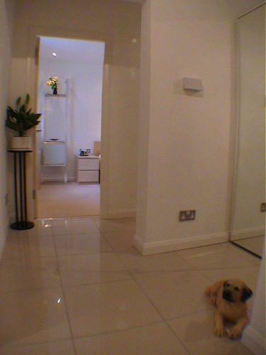 Earle House Serviced Apartments