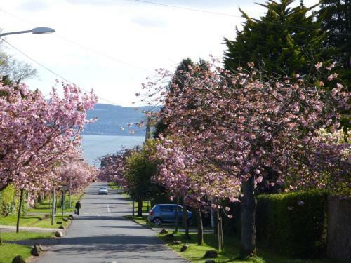 Bed & Breakfast Moorlands