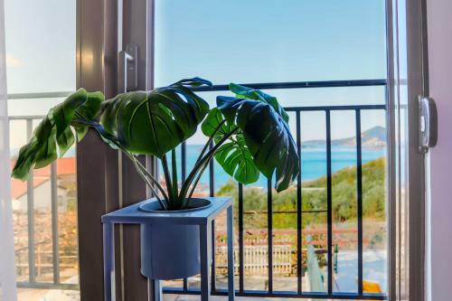 Apartamento Milocer View
