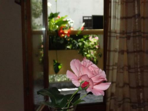 Villa Kunji? Apartmani