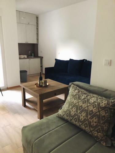 Friendly Apartment