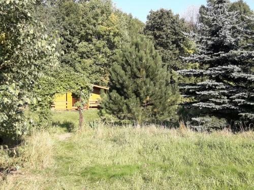 Apartament 59 , Ranczoturystyka Bielawa
