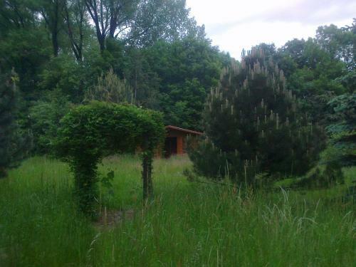 Apartament 59 , Ranczoturystyka Bielawa