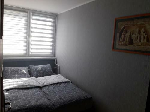 Apartament 59 , Ranczoturystyka Bielawa