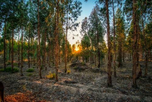 Agroturismo Quinta Da Eira Velha