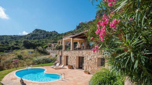 Villa Phoenix 6&4