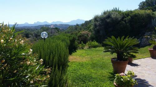 Bed & Breakfast Dolce Luna