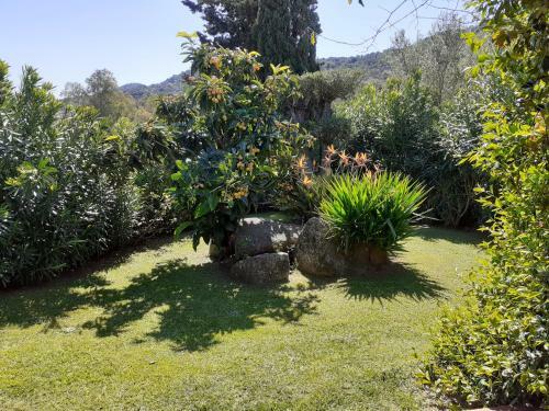 Apartamento Stazzzu Solianu