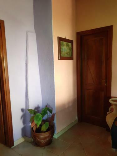 Apartamento Stazzzu Solianu