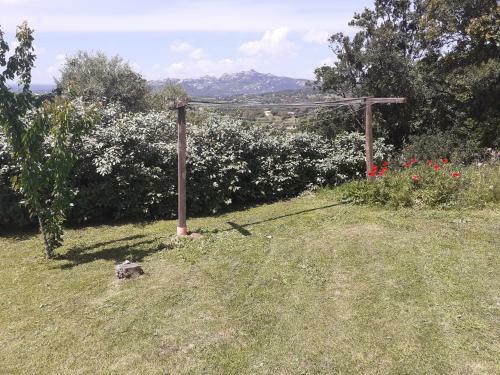 Apartamento Stazzzu Solianu