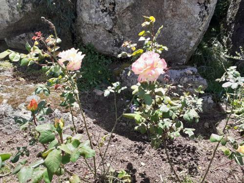 Apartamento Stazzzu Solianu