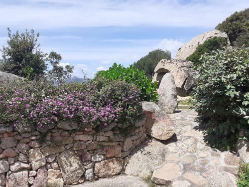 Apartamento Stazzzu Solianu
