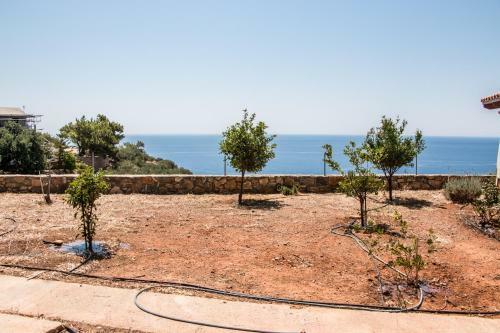 Villa Nista House