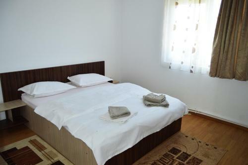 Hostal Pensiunea Zelezneac