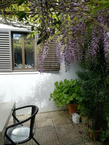 Casa Da Anita