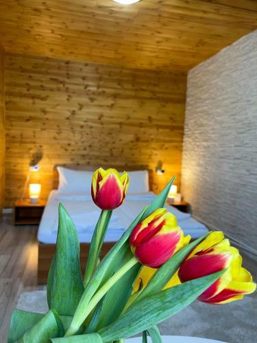 Bed & Breakfast Somogyi Vend�gh�z