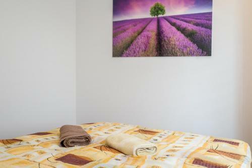 Apartamento Peaceful Bialystok