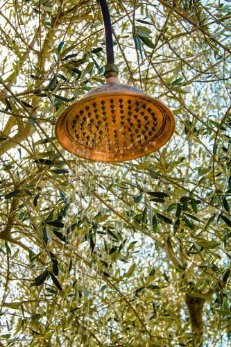 2 Cuori E 1 Yurta Glamping In Tuscany - Adults Only
