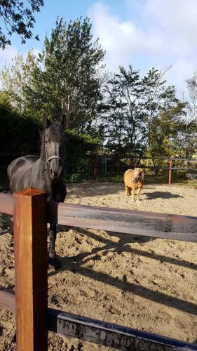 Zeeuwse Landhoeve