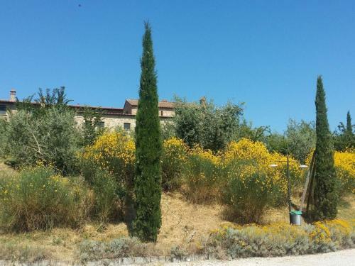 Apartment In Medieval Village, Splendid Panoramic View, Shared Swimming Pool