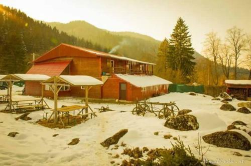 Lodge Cabana Schiorilor