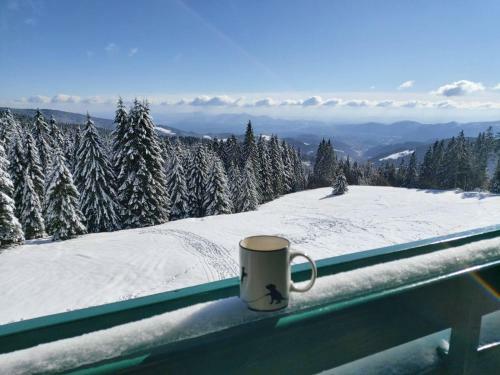 Apartma Bellevue Rogla
