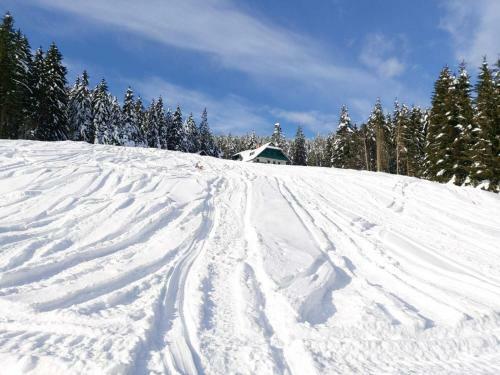 Apartma Bellevue Rogla