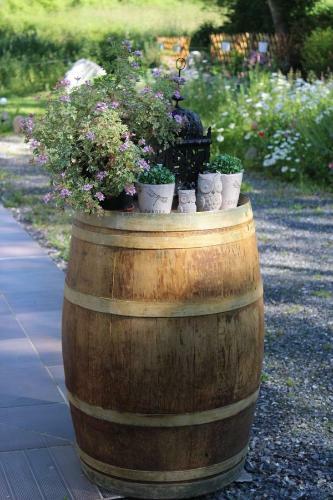 Bed & Breakfast Du Cot� De Lacoume