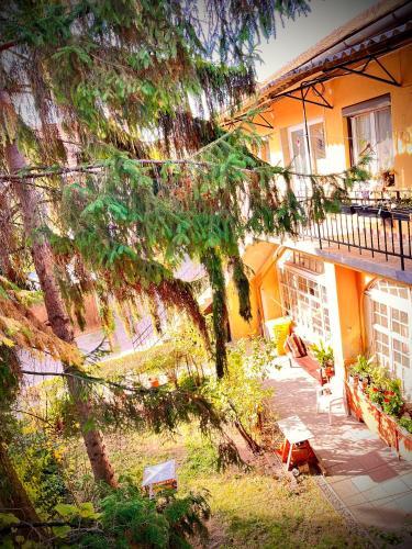 Green Apartman