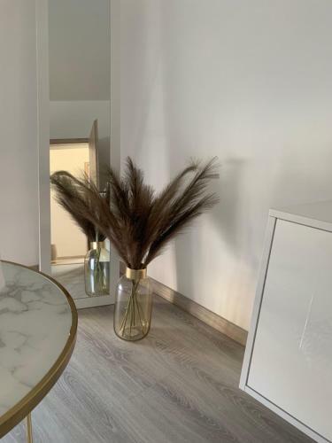 D&v Apartman