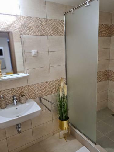 City Center Apartmanh�z