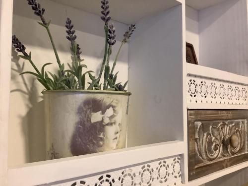 Ez�st Bor�ka Apartman