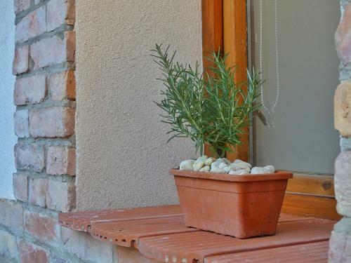 Apartamento Cs�cs�k Vend�gh�z