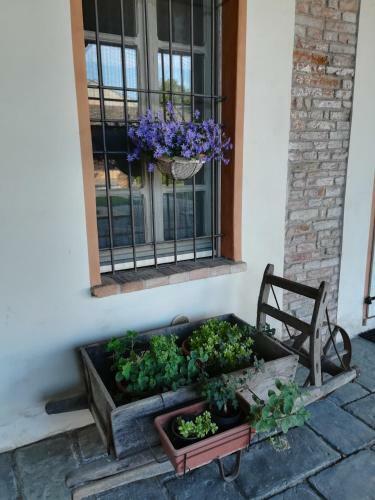 Bed & Breakfast Hospitale I Mori