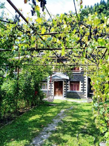 Hostal N1 Guesthouse