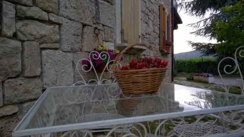 B&B Casale Giovannozzi