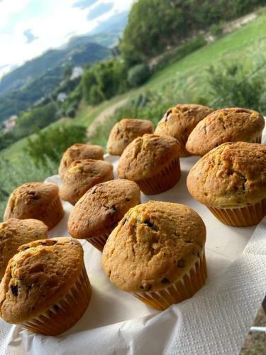 Bed & Breakfast La Collina Su Ascoli