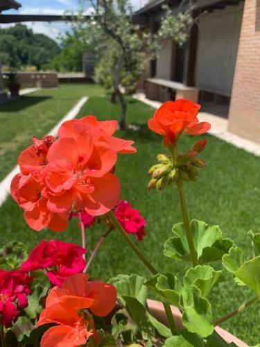 Bed & Breakfast La Collina Su Ascoli