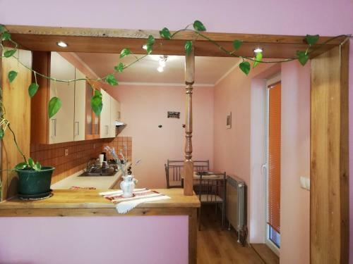 Apartman Zdenka